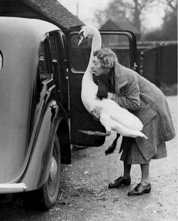 ganz ins Auto b&w fashion photography timeless inspo textures body timeless kate moss lindbergh newton avedon demarchelier meisel Alaia Chanel